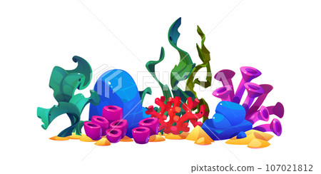 Set of colorful seaweeds for seabed design 107021812