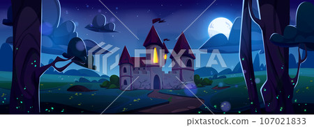 Medieval castle on night summer landscape 107021833