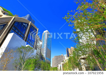 [東京] Sunny Garden Plaza Residence (麻布台Hills) 107021956