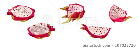 Dragon Fruit with Pink Cactus Skin and Fleshy Pulp Vector Set 107022726