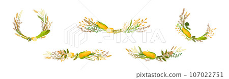 Corn Cob and Grain Agricultural Composition Vector Set 107022751