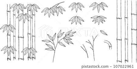 用筆繪製的竹子插圖集 用筆繪製的竹子插圖集 107022961