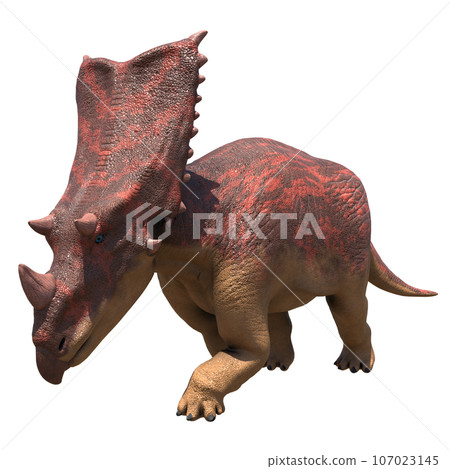 Chasmosaurus Chasmosaurus 107023145