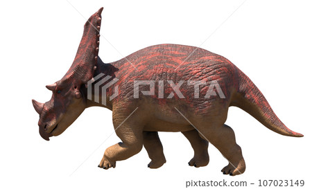 Chasmosaurus Chasmosaurus Chasmosaurus Chasmosaurus 107023149