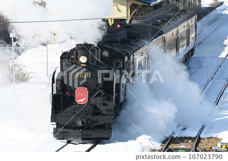 SL冬季濕地 SL冬季濕地 107023790