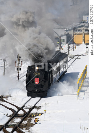 SL Winter wetlands in winter 107023793