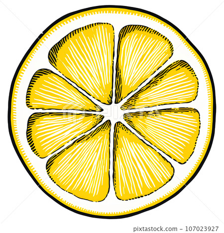 illustration, lemon, fruit, citrus, fresh, vitamin, natural, organic, food, isolated, background, cut, slice, tropical, half, healthy, design, icon, sweet, juice, leaf, yellow, juicy, color, ripe, pie 107023927