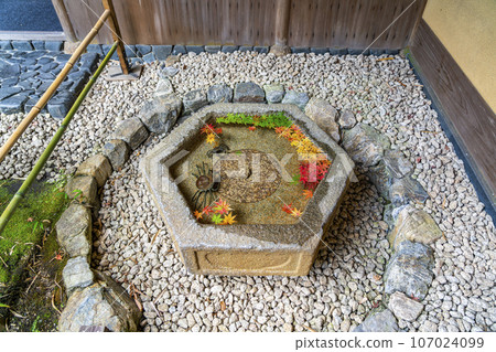 [Kanagawa Prefecture] Beautiful autumn leaves at Ichijo Ekan-sanso in Kamakura 107024099