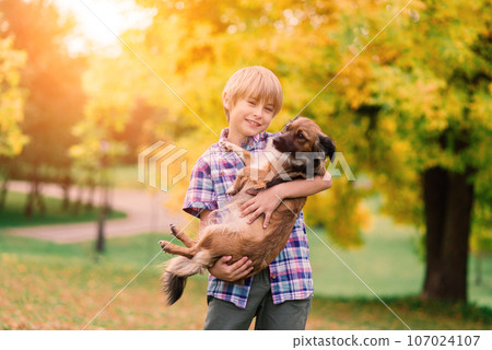 Boy hugging dog and plyaing with in the fall, city park 107024107
