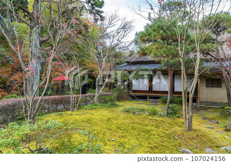 [Kanagawa Prefecture] Autumn leaves begin to fall at Ichijo Ekan Sanso in Kamakura 107024156