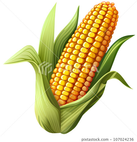 maize, corn, illustration, food, agriculture, grain, natural, organic, plant, farm, harvest, seed, vegetable, vegetarian, popcorn, yellow, nature, green, cereal, ripe, nutrition, icon, leaf, summer, maize, corn, illustration, food, agriculture, grain, natural, organic, plant, farm, harvest, seed, vegetable, vegetarian, popcorn, yellow, nature, green, cereal, ripe, nutrition, icon, leaf, summer, 107024236