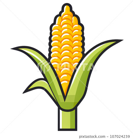maize, corn, illustration, food, agriculture, grain, natural, organic, plant, farm, harvest, seed, vegetable, vegetarian, popcorn, yellow, nature, green, cereal, ripe, nutrition, icon, leaf, summer, 107024239