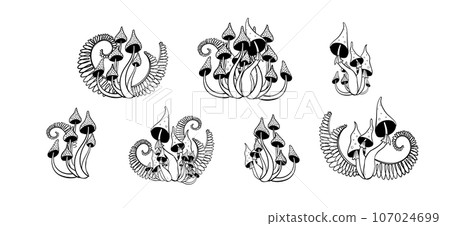 Set of hand drawn magic forest mushrooms, fly agarics and toadstools with ferns. Linear mystical witch tattoo, microdosing, vector illustration isolated on white background. 107024699