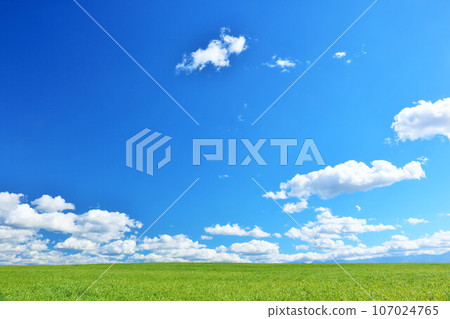 Hokkaido summer blue sky and fresh green meadow scenery Hokkaido summer blue sky and fresh green meadow scenery 107024765