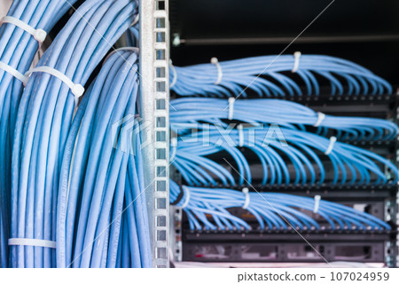 bunch of patch network cables sorted in rack cabinet, leading from patch panel in the server rack in the data center room 107024959