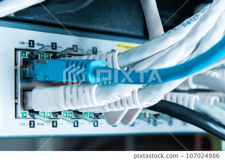 various ethernet cables plugged in network switch 107024986