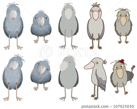 Shoebill material set 107025030