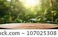 Wooden tabletop in the forest, background nature, There is space to place products. AI-generated content. 107025308