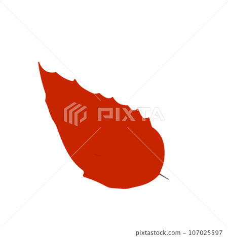 autumn leaves illustration 107025597
