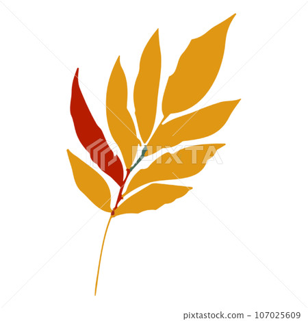 autumn leaves illustration 107025609