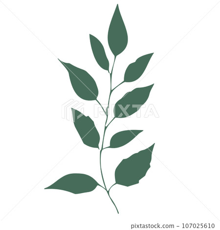 autumn leaves illustration 107025610