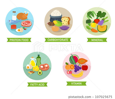 five food group vector illustration 107025675