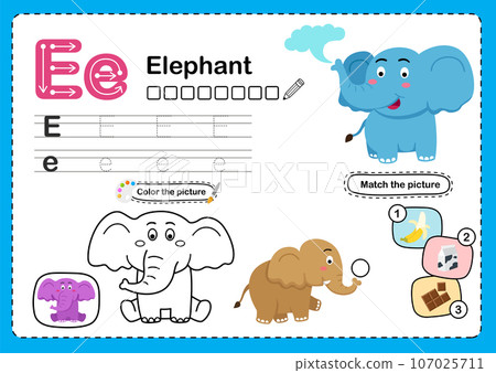 Illustration Isolated Animal Alphabet Letter E-Elephant Illustration Isolated Animal Alphabet Letter E-Elephant 107025711