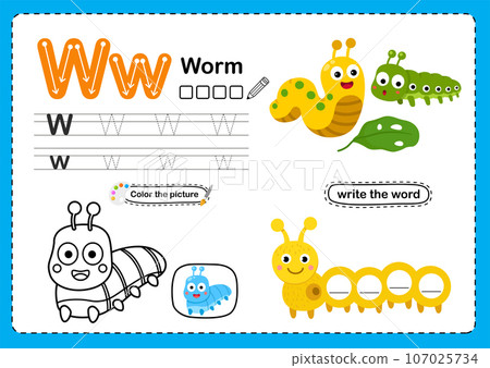 Illustration Isolated Animal Alphabet Letter W-Worm Illustration Isolated Animal Alphabet Letter W-Worm 107025734