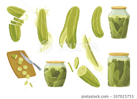 Homemade pickled cucumbers. Clip-arts of marinated food for packaging, label, menu, signboard or showcase. Fermented veggies, crunch gherkin with salt. Healthy vegetarian foods 107025753