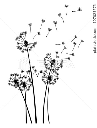 Dandelion wind blow background. Black silhouette with flying dandelion buds on white. Abstract flying blow dandelion seeds. Decorative graphics for printing. Floral scene design Dandelion wind blow background. Black silhouette with flying dandelion buds on white. Abstract flying blow dandelion seeds. Decorative graphics for printing. Floral scene design 107025773