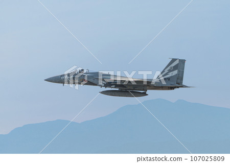 航空自衛隊第303中隊F-15J鷹特種塗裝飛機 航空自衛隊第303中隊F-15J鷹特種塗裝飛機 107025809
