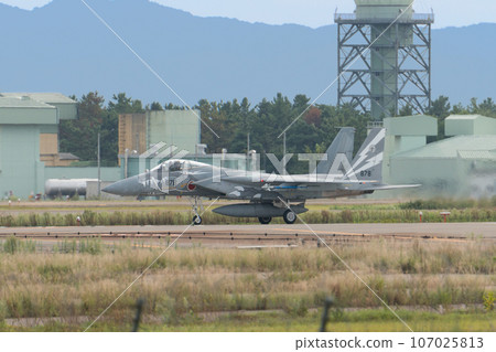 Air Self-Defense Force 303rd Squadron F-15J Eagle special livery aircraft Air Self-Defense Force 303rd Squadron F-15J Eagle special livery aircraft 107025813