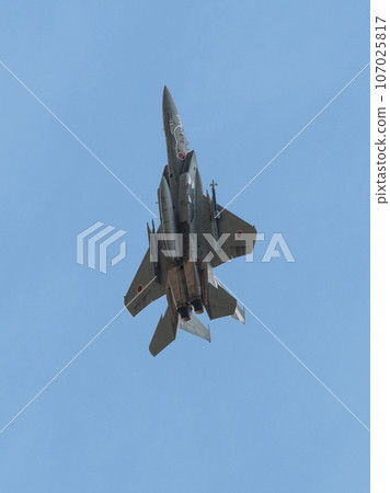 Air Self-Defense Force F-15J Eagle special paint aircraft rising 107025817