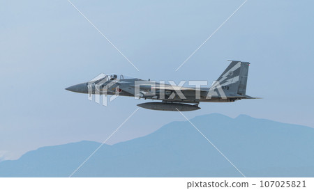 航空自衛隊第303中隊F-15J鷹特種塗裝飛機 航空自衛隊第303中隊F-15J鷹特種塗裝飛機 107025821