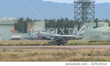 航空自衛隊第303中隊F-15J鷹特種塗裝飛機 107025822