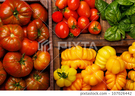 Assorted tomatoes in rustic crate 107026442