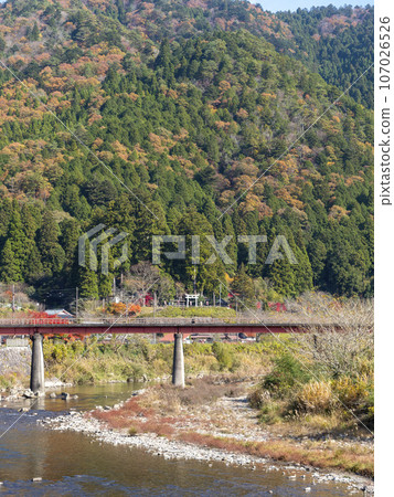 Autumn scenery along the Yura River flowing through Miyama Town 107026526