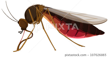 Blood-filled Cartoon of a Brown Malaria Mosquito Blood-filled Cartoon of a Brown Malaria Mosquito 107026865