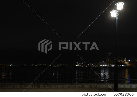 港 107028306