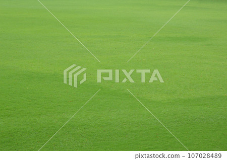 Lawn Lawn 107028489