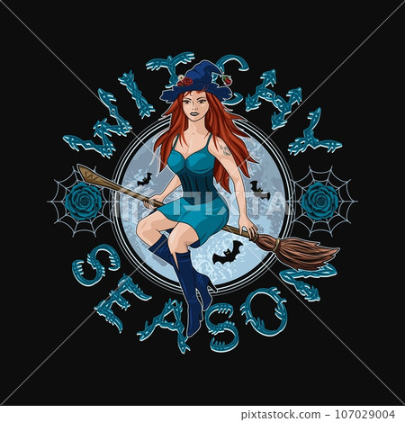 Emblem with young witch flying on broomstick, moon Emblem with young witch flying on broomstick, moon 107029004