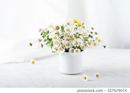 Wild daisy flowers  on the white table 107029014