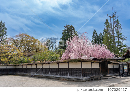 春天櫻花盛開時,福島縣會津若松市,會津若松城內的臨閣茶室外觀 春天櫻花盛開時,福島縣會津若松市,會津若松城內的臨閣茶室外觀 107029417