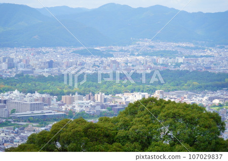 京都/將軍塚青龍殿/西展望台往京都御苑方向 107029837