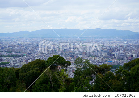 京都/將軍塚青龍殿往京都塔方向 京都/將軍塚青龍殿往京都塔方向 107029902
