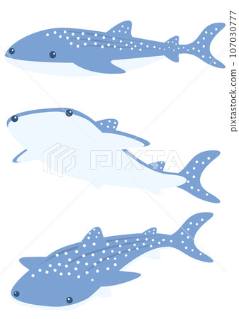 Illustration of a swimming whale shark 107030777