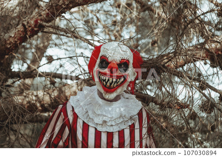 evil clown stares at the observer in the woods evil clown stares at the observer in the woods 107030894