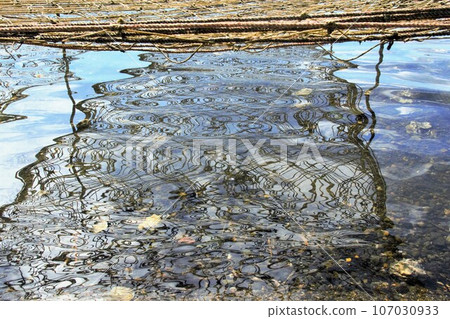 Sea surface reflecting nets for cultivating nori 107030933