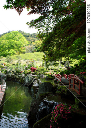 佐賀縣武雄市旅遊勝地慶修園的日本庭園春天景色 107030968