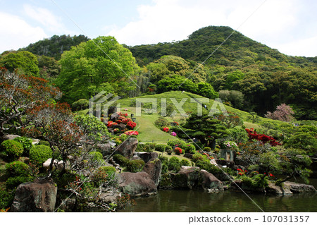 佐賀縣武雄市旅遊勝地慶修園的日本庭園春天景色 107031357